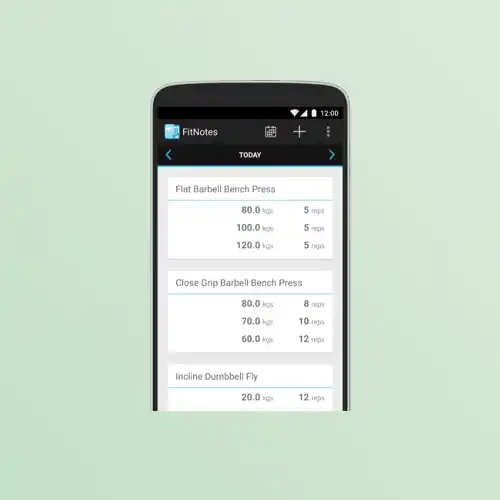 melhores apps de treino 2025 - fitnotes