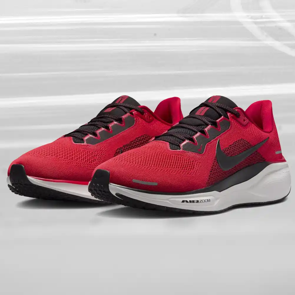 nike pegasus 41
