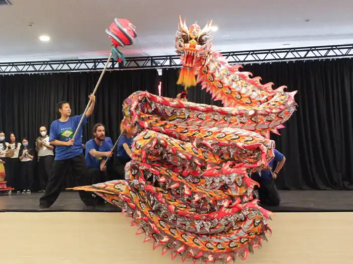 danca-do-dragao-lung-zi-gaa