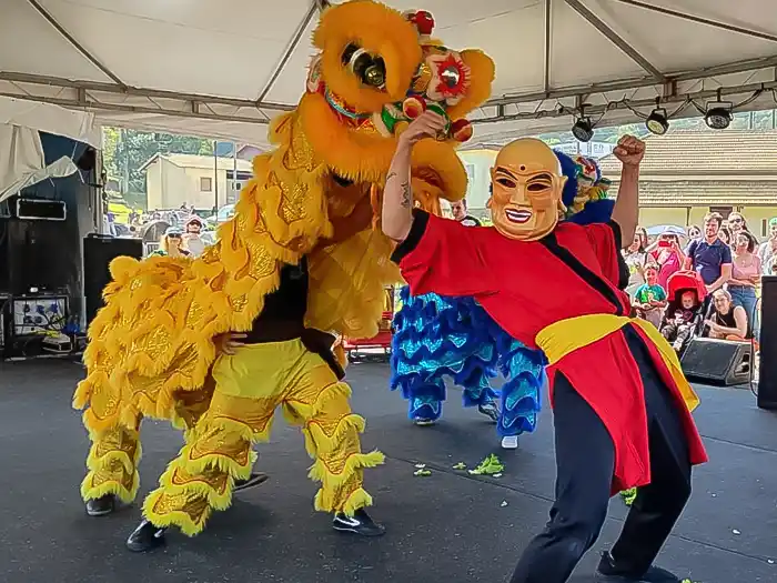 danca-do-leao-liberdade